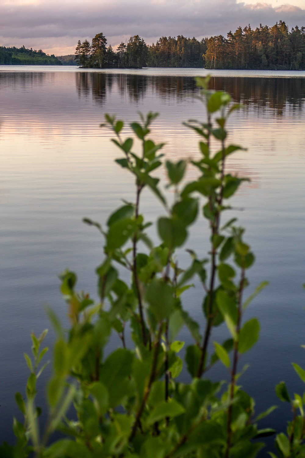 Sjö i skymningen