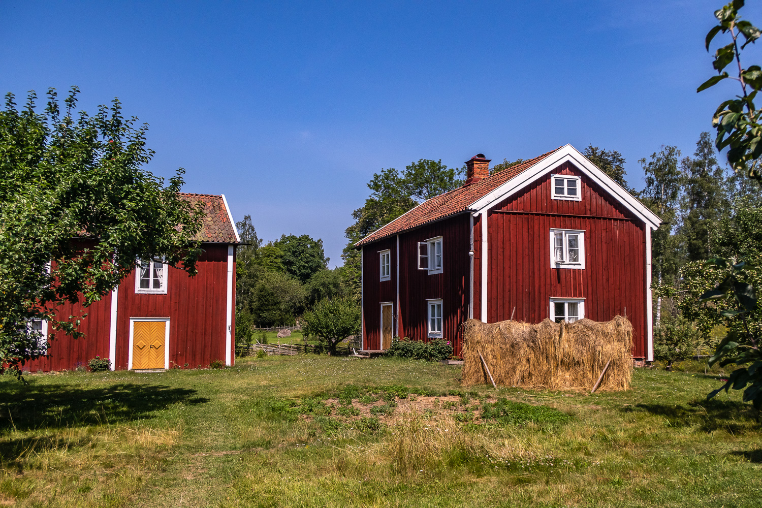 Hö på tork i Stensjö by