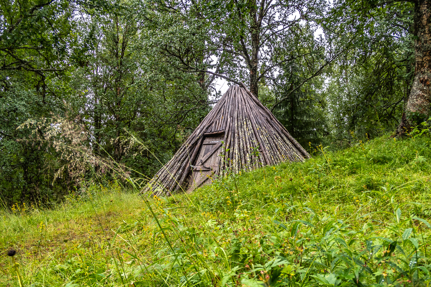 Samisk kåta i Fatmomakke