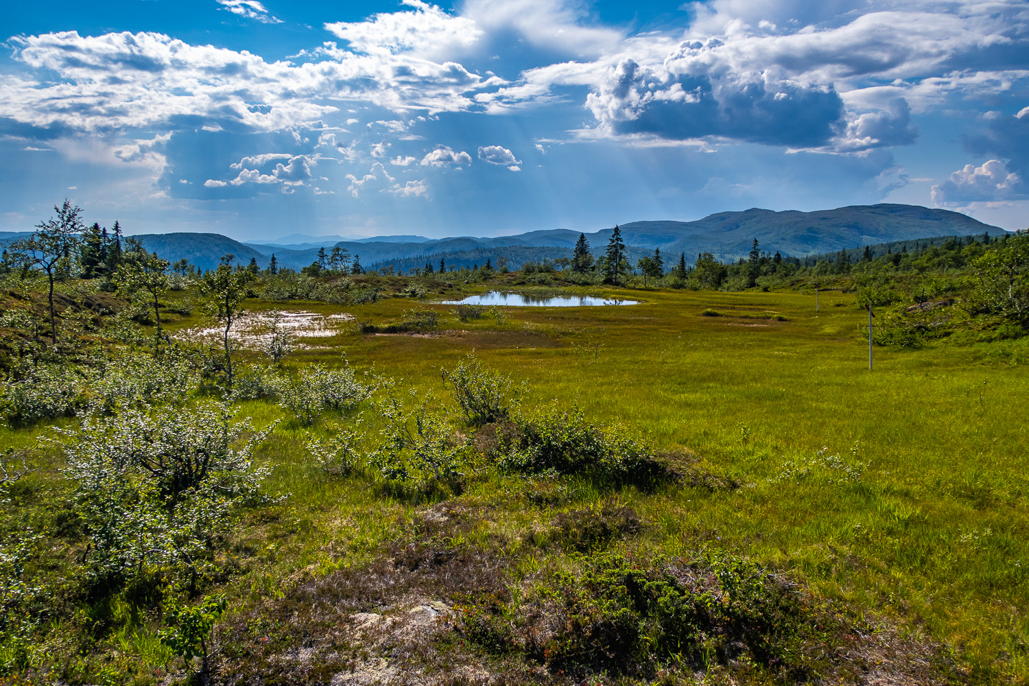 Fjällvy norr om Jormlien