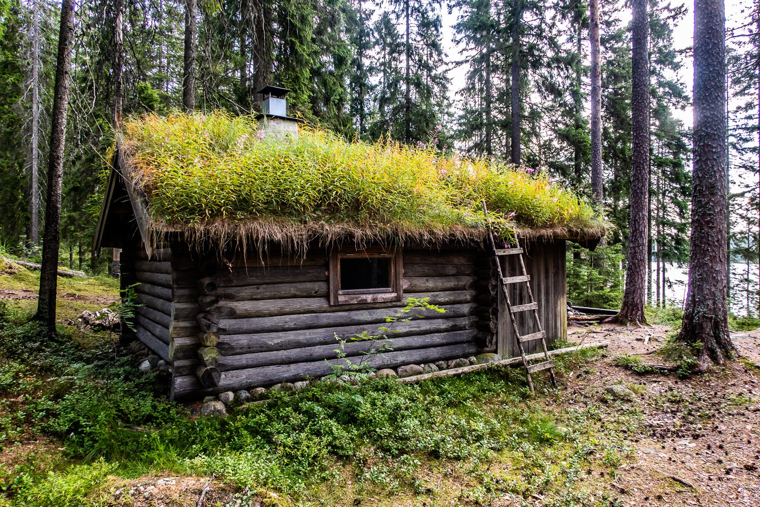 Stuga vid Rödbäckstjärn i Kindla naturreservat