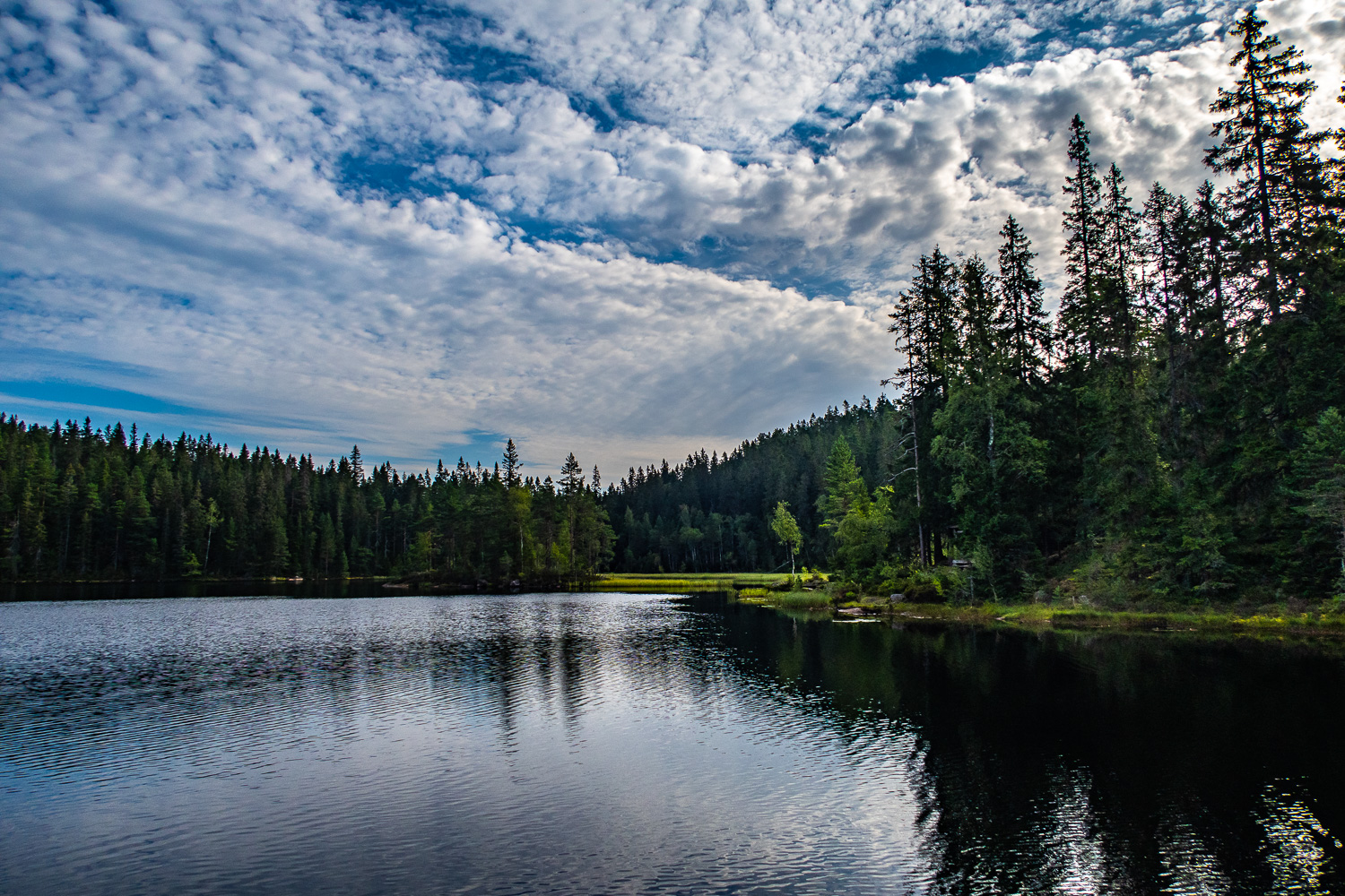 Klosstjärn i Kindla naturreservat