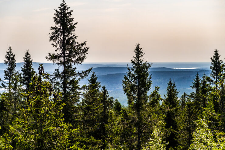 Utsikt från Kindlahöjden i Kindlas naturreservat