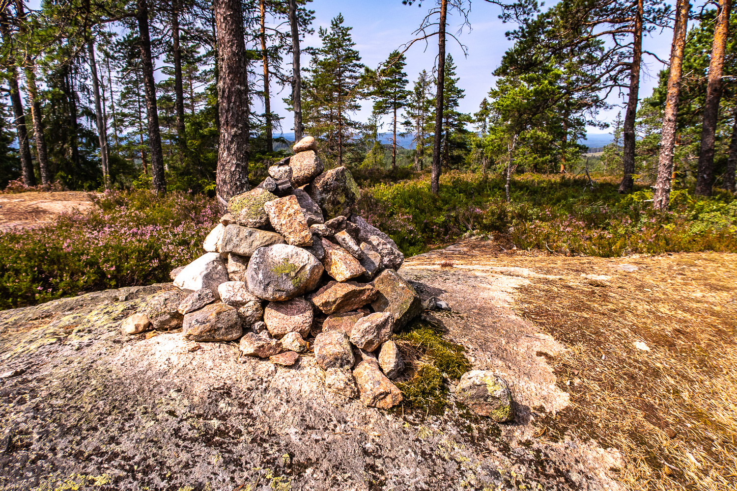 Toppröse vid Kalklinten