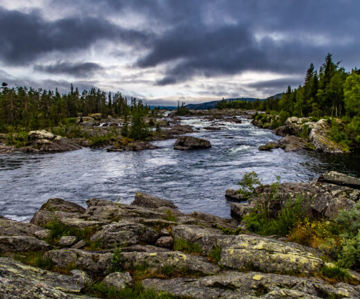 Litsjöforsen