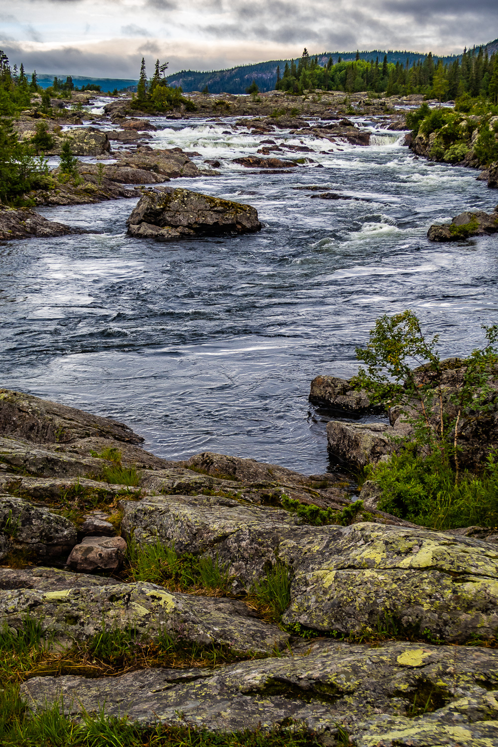 Litsjöforsen rinner fram