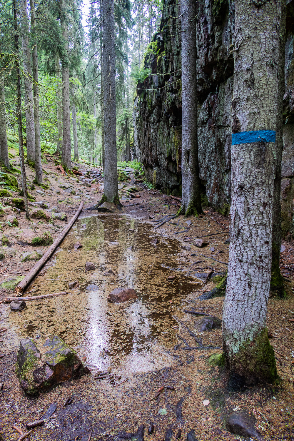 Vattenpöl på botten av Skurugata