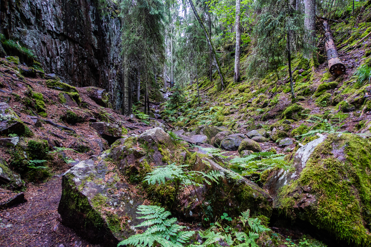 Stenigt att gå längs Skurugata