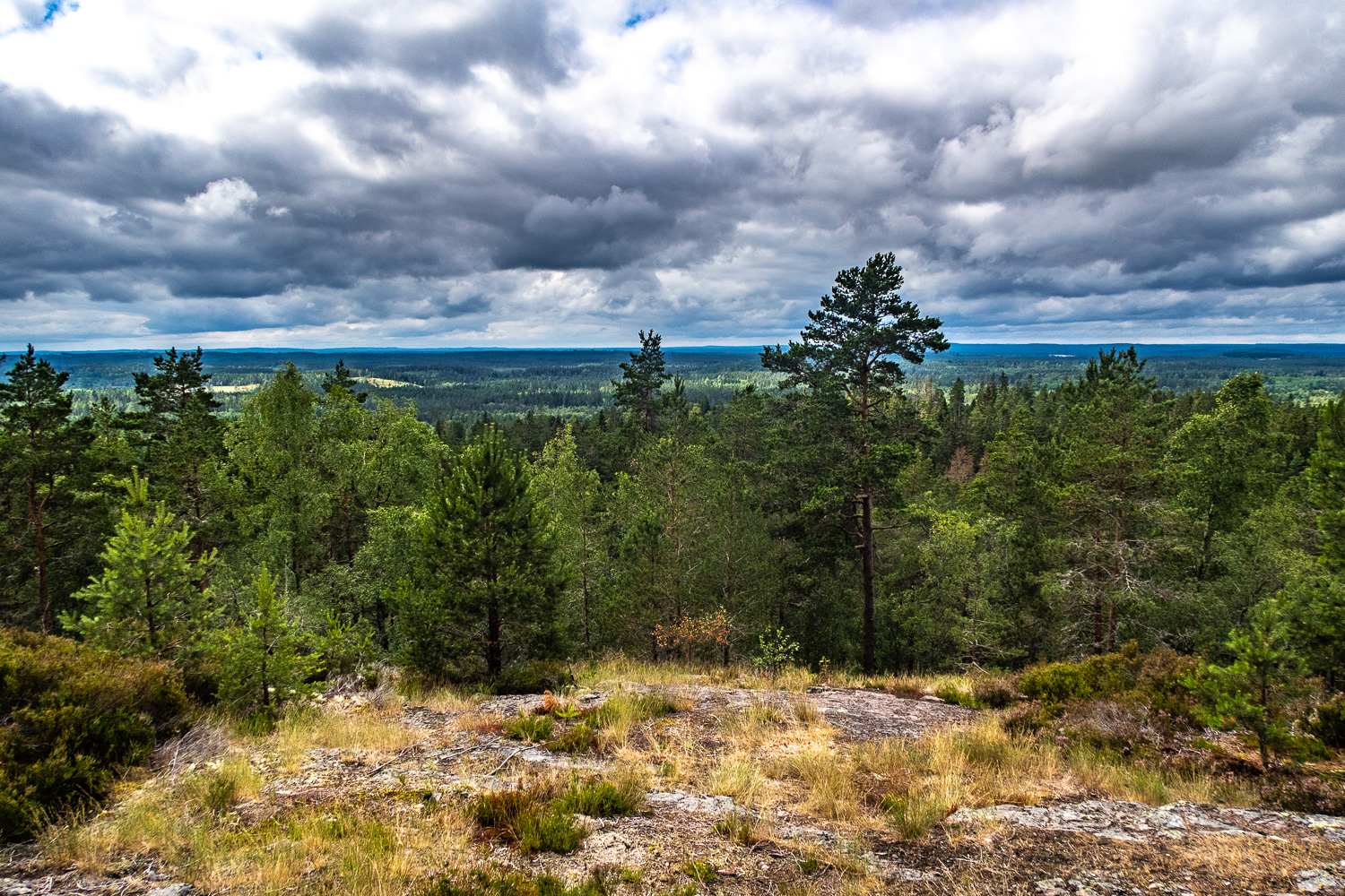 Utsikt från toppen av Skuruhatt