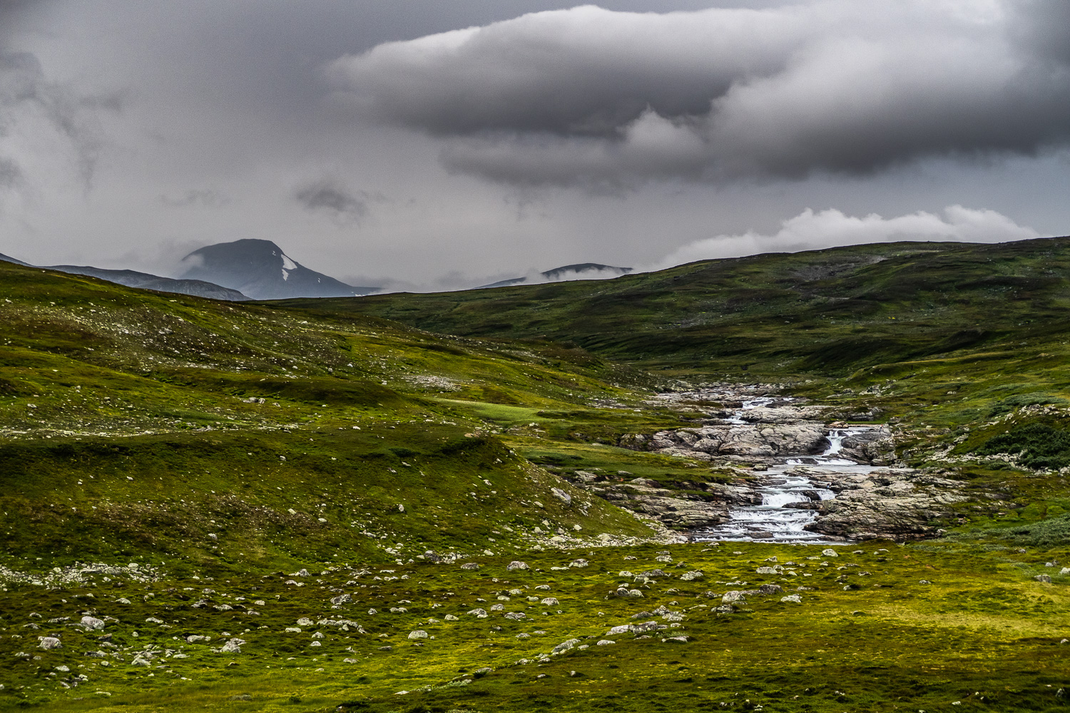 Mulet väder över kalfjället