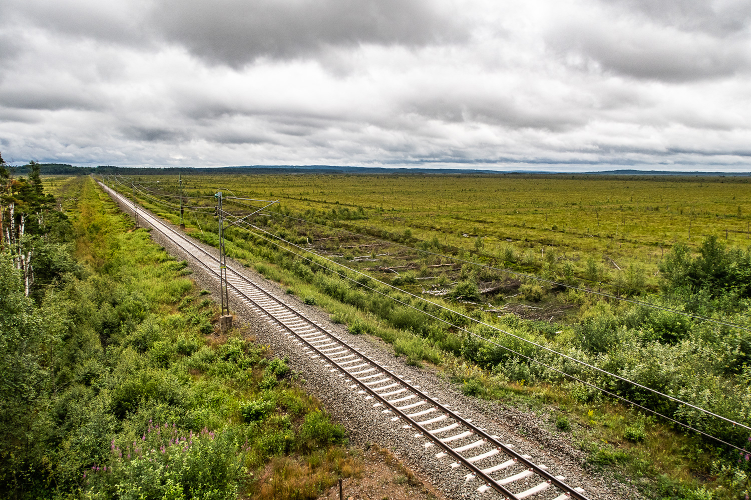 Järnvägen går igenom Store Mosse nationalpark