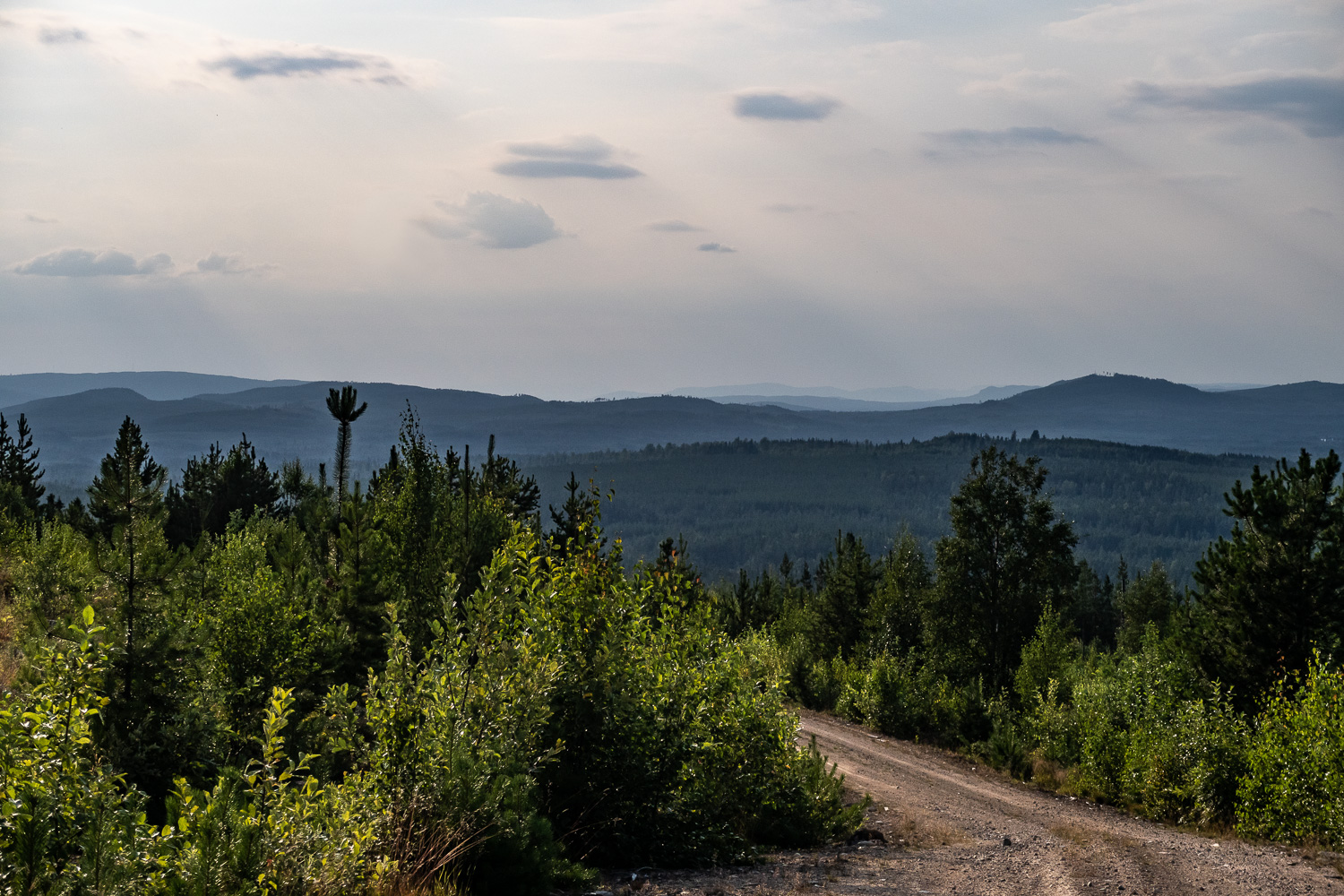 Långsam skymning med utsikt över skog och berg