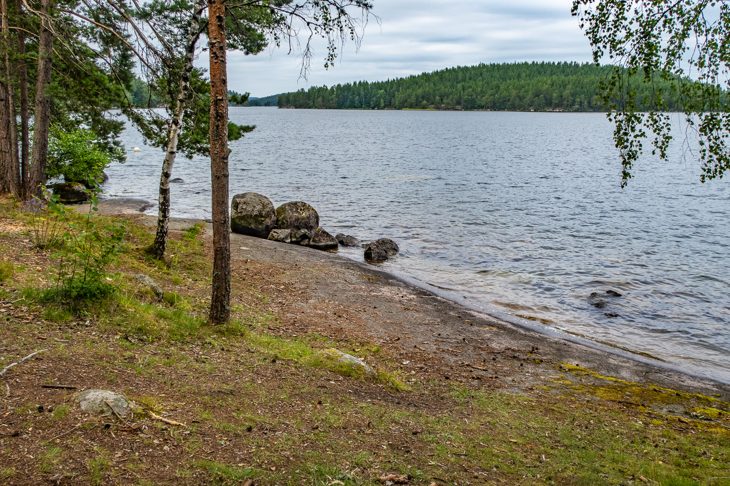 Strandkant vid Torpön i Sommen