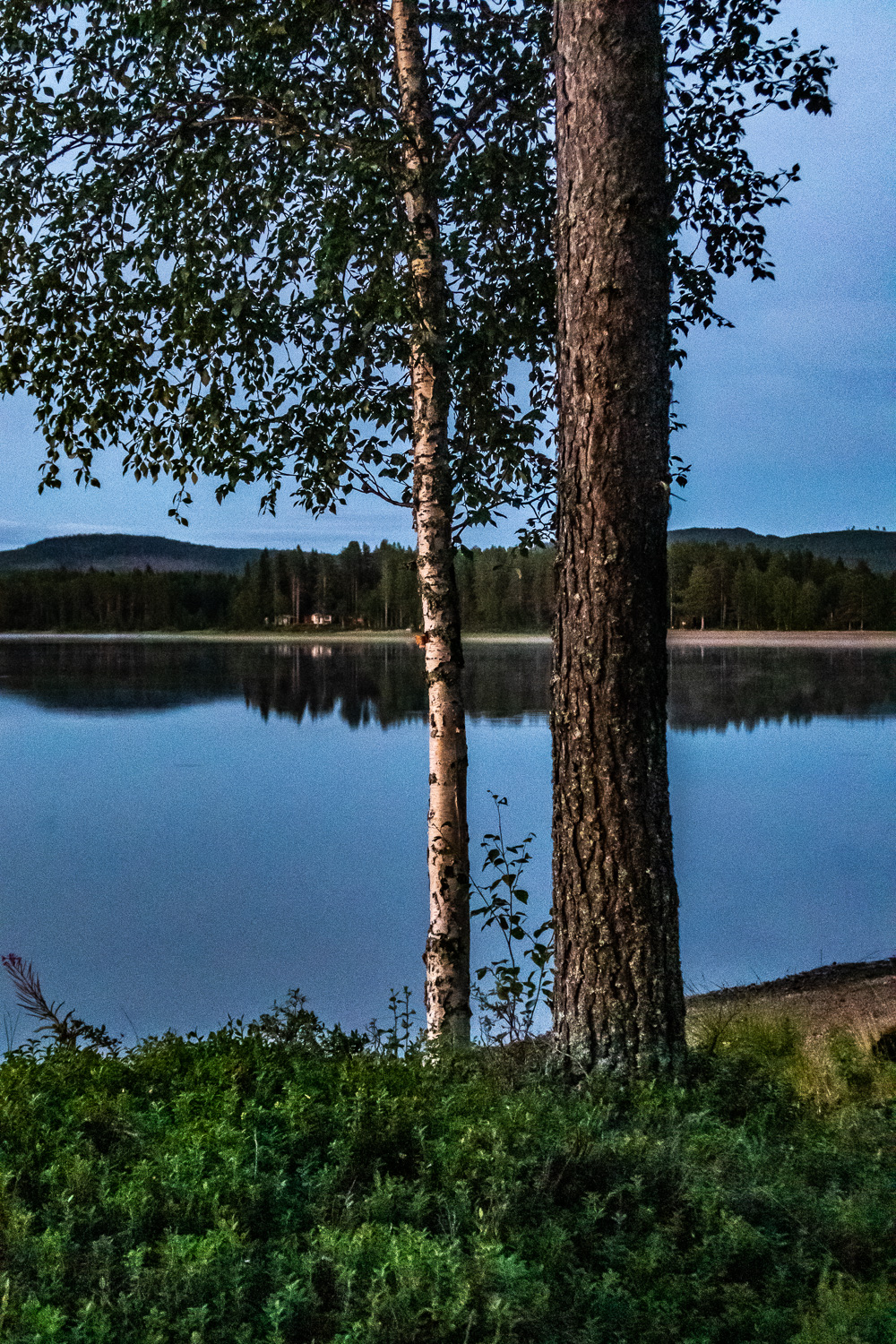 Stilla sjö vid Borgsjö rastplats