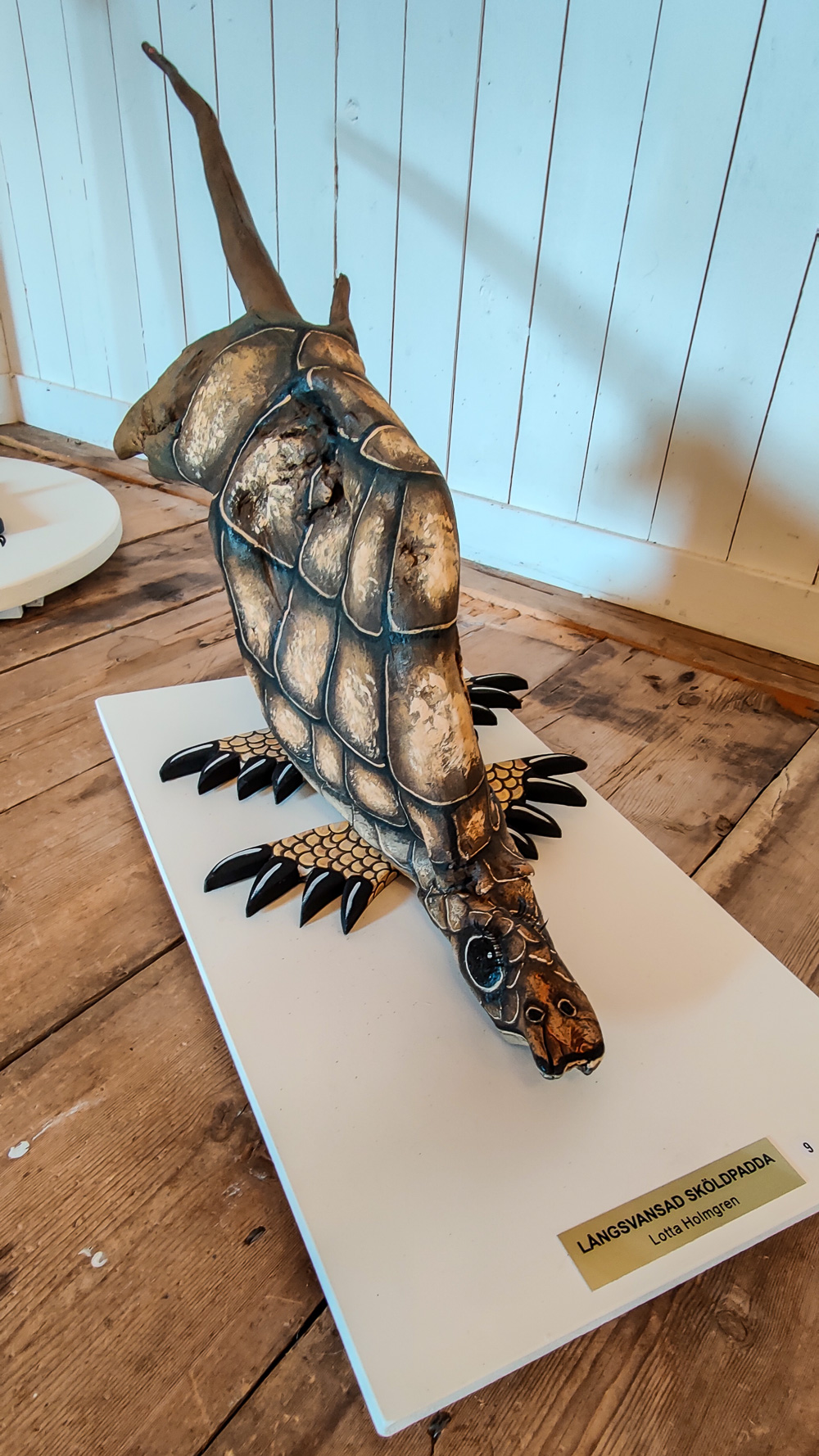 Långsvansad sköldpadda, skulptur av drivved skapad av Lotta Holmgren