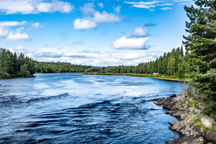 Mårdseleforsen planar ut i Vindelälven