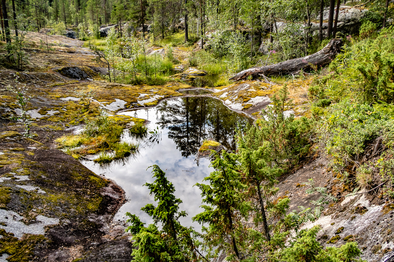 Berggrund nerslipad av vattenmassor