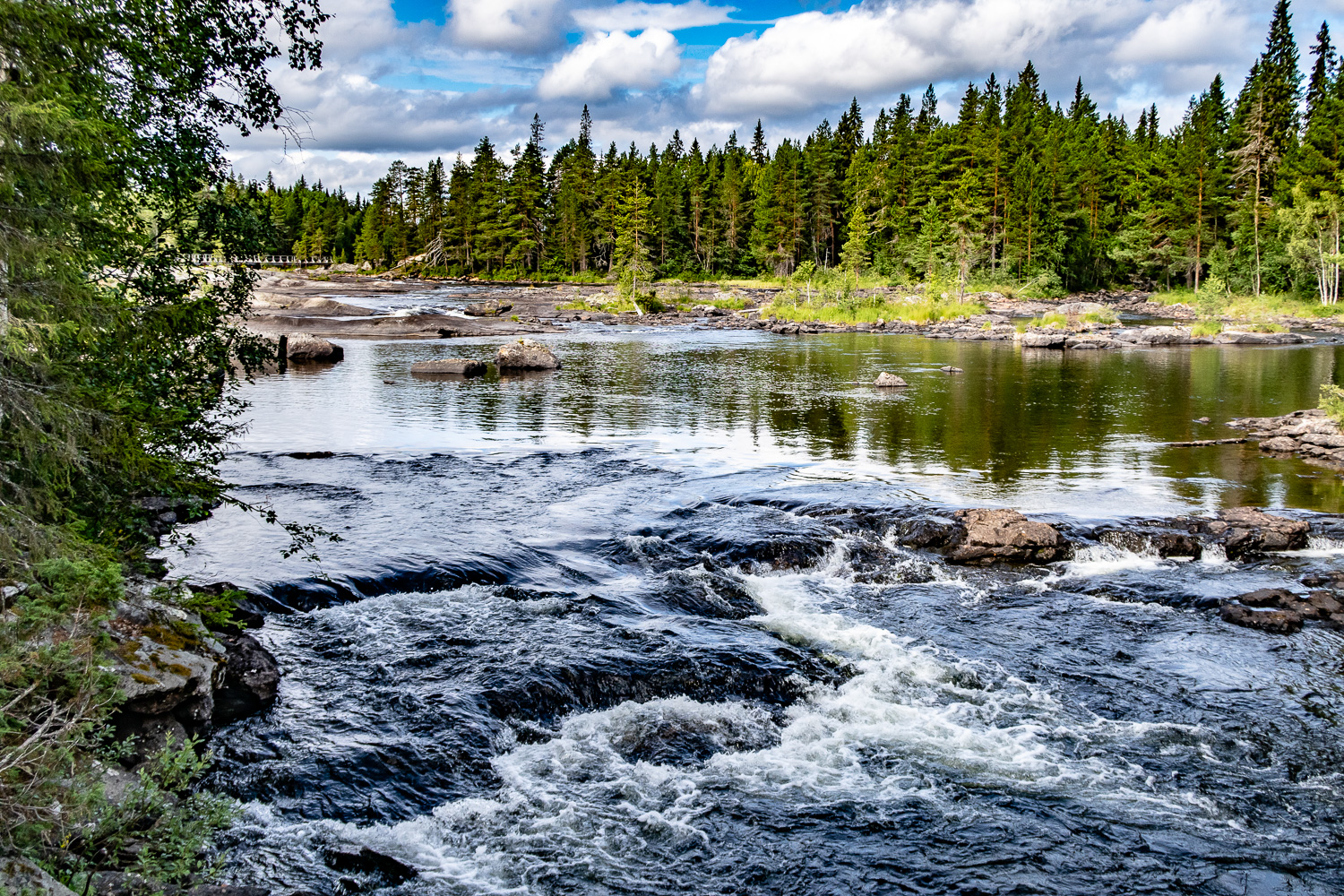 Vindelälven skummar