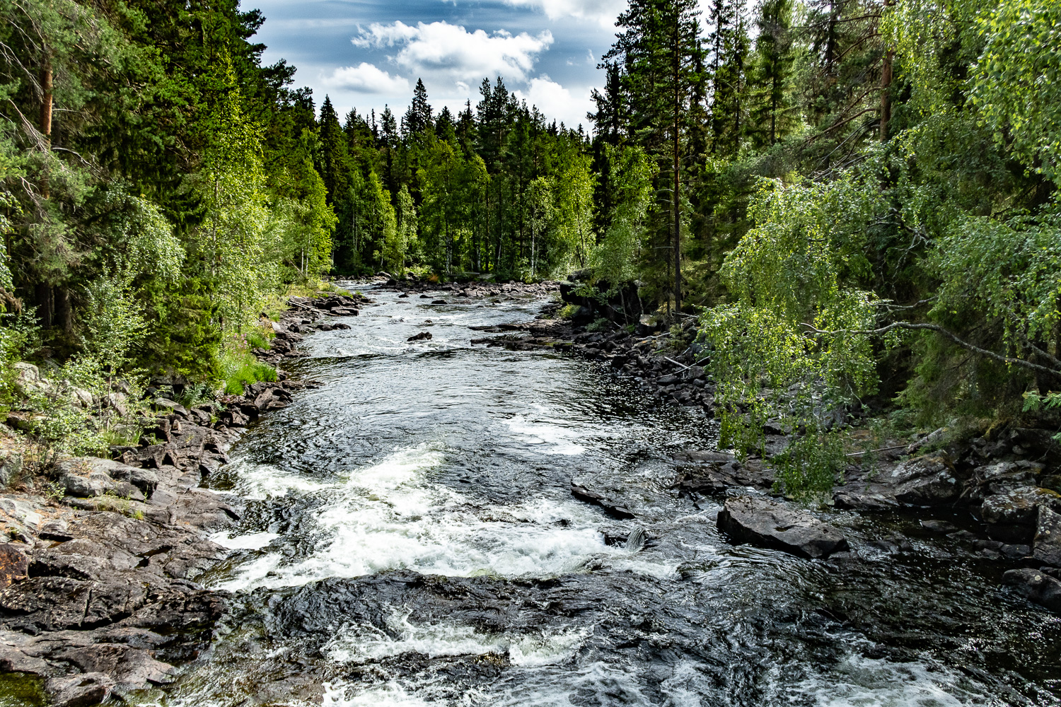 Mårdseleforsen delar upp sig i delfåra