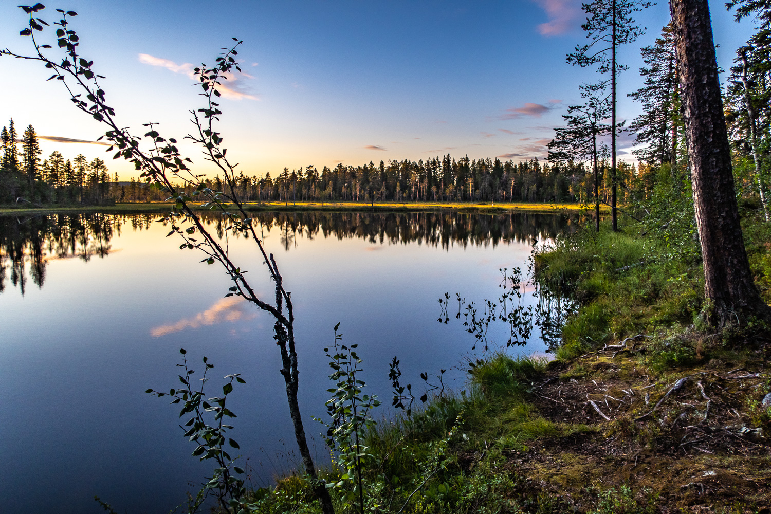 Stilla vatten i skog vid skymningen