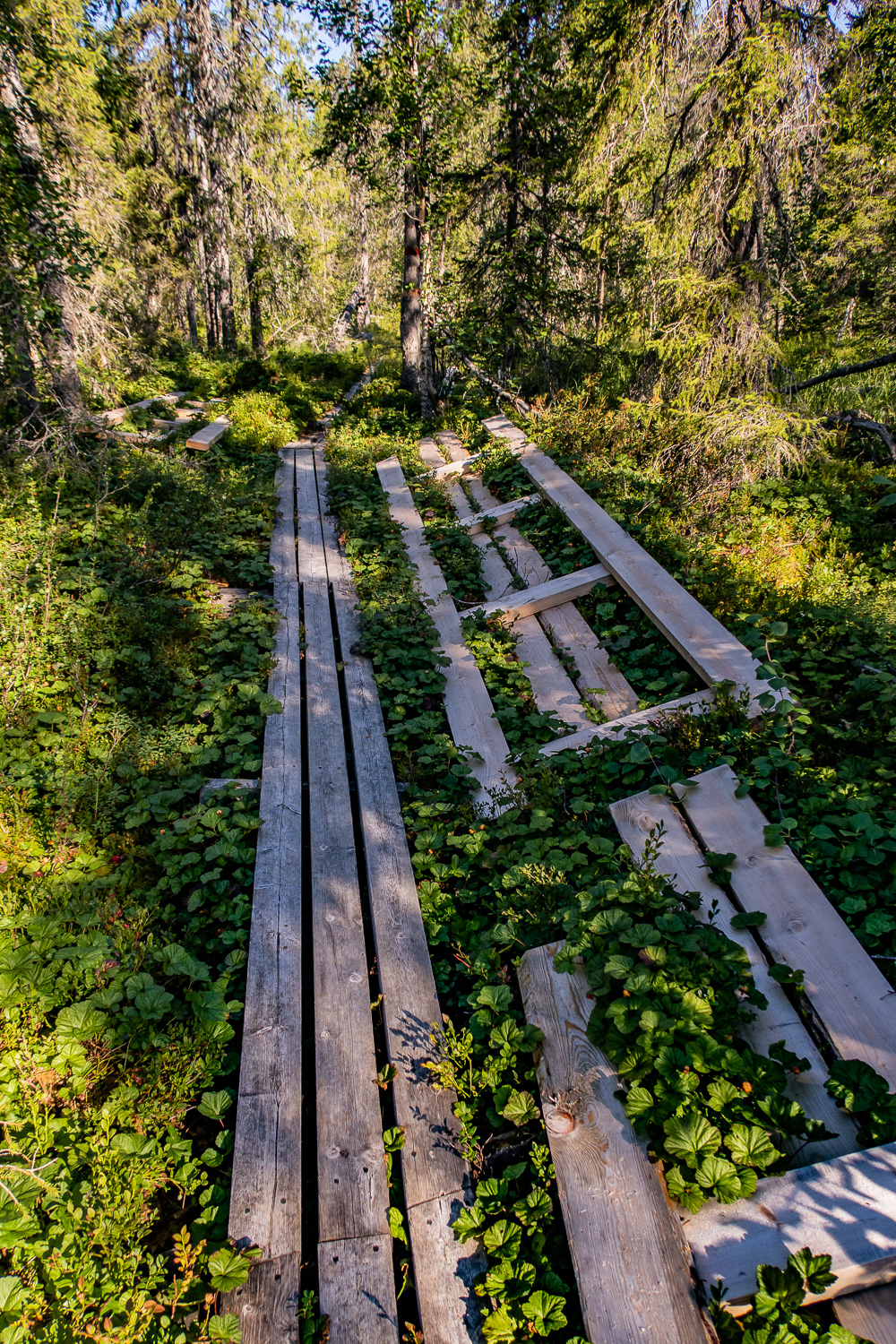 Nya spänger väntar på att monteras