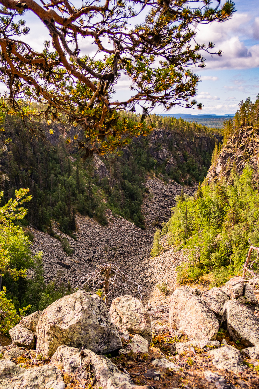 Utsikt över ravinen Måskosgårsså i Muddus nationalpark