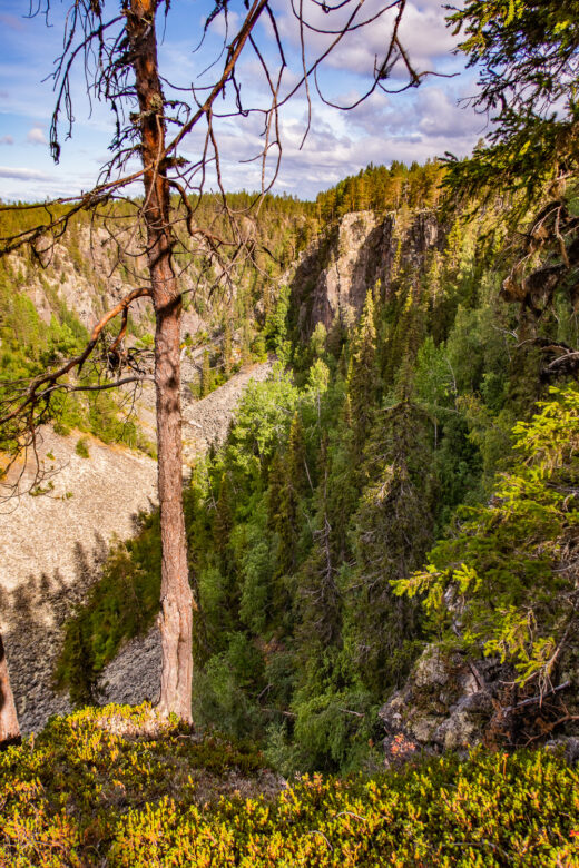 Utsikt över ravinen Måskosgårsså i Muddus nationalpark