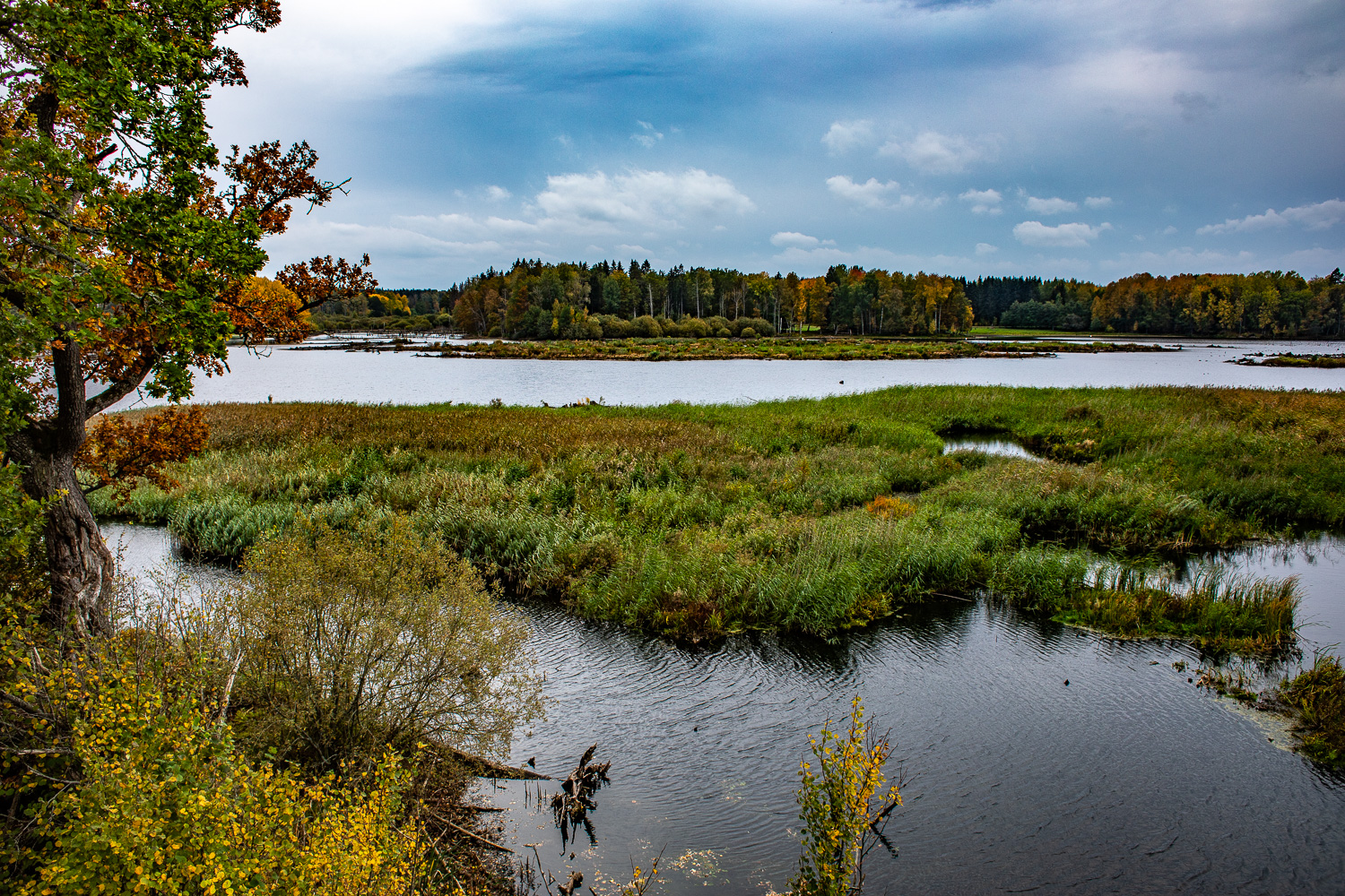 Fågelsjö i Tinnerö eklandskap