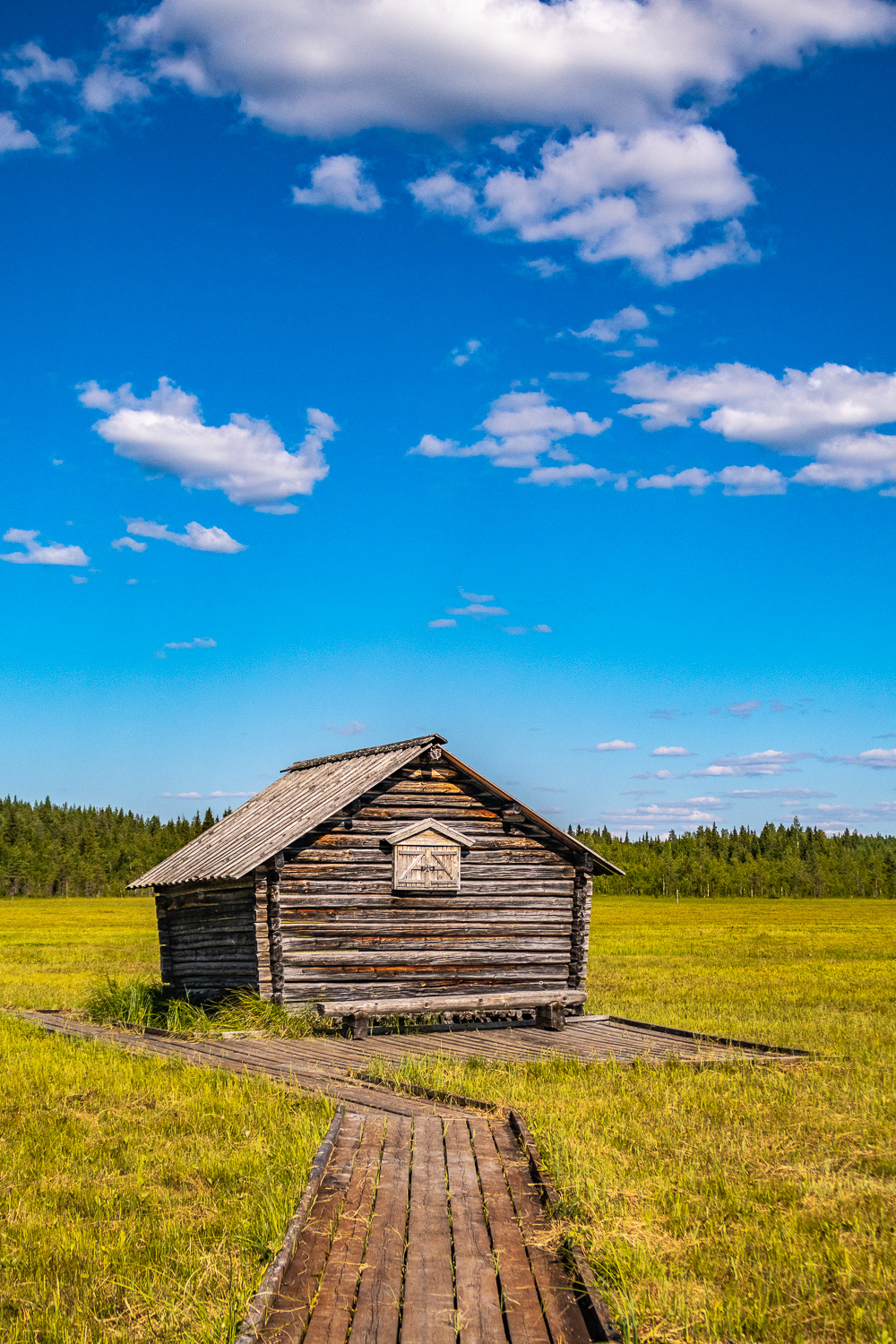 Lada i Vasikkavuoma naturreservat