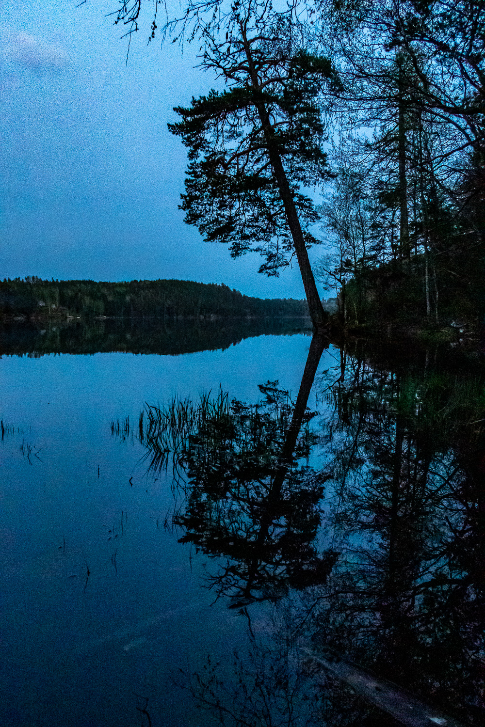 Mörkret faller över Mellan-Marviken