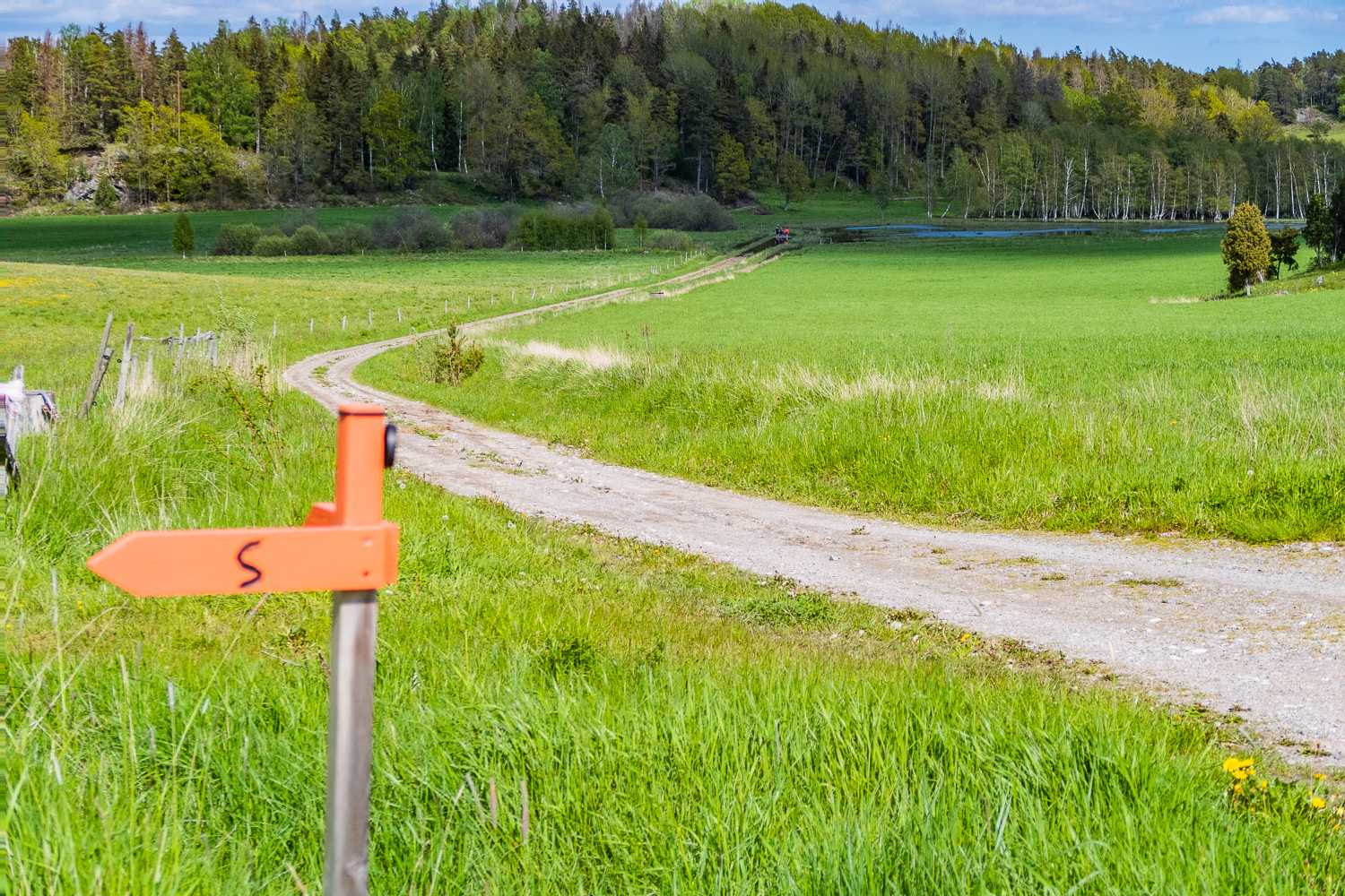 Grusväg med ledmarkering i förgrunden