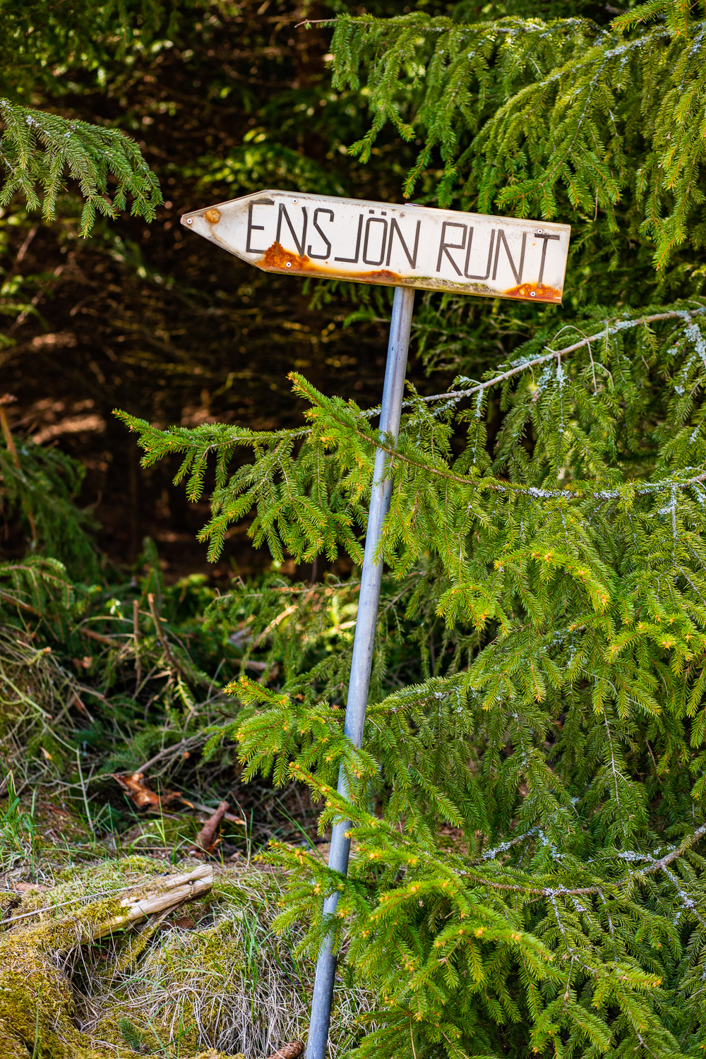 Skylt visar väg vid vandring runt Ensjön