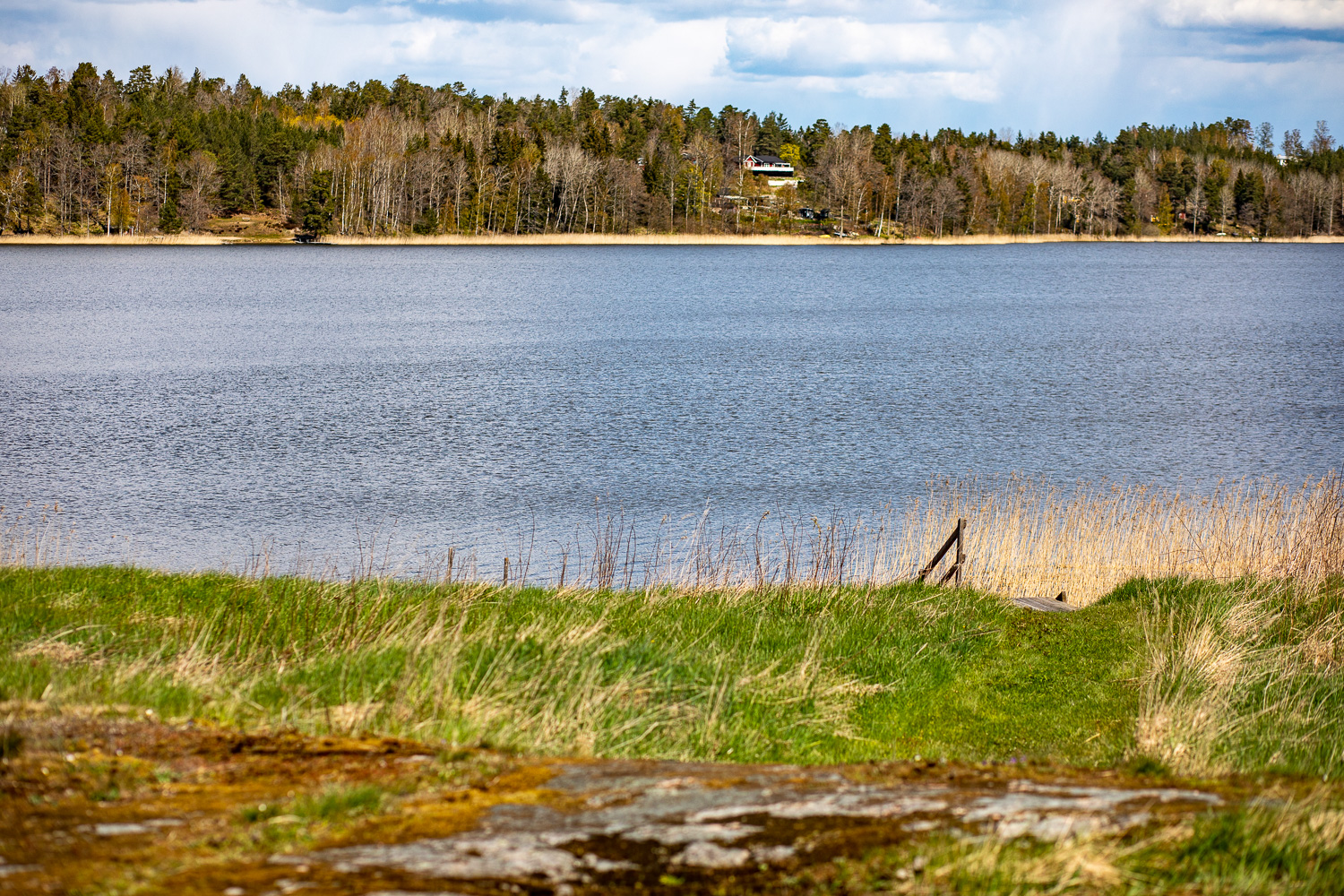 Utsikt över Ensjön från Markgärdets sommarstugeområde