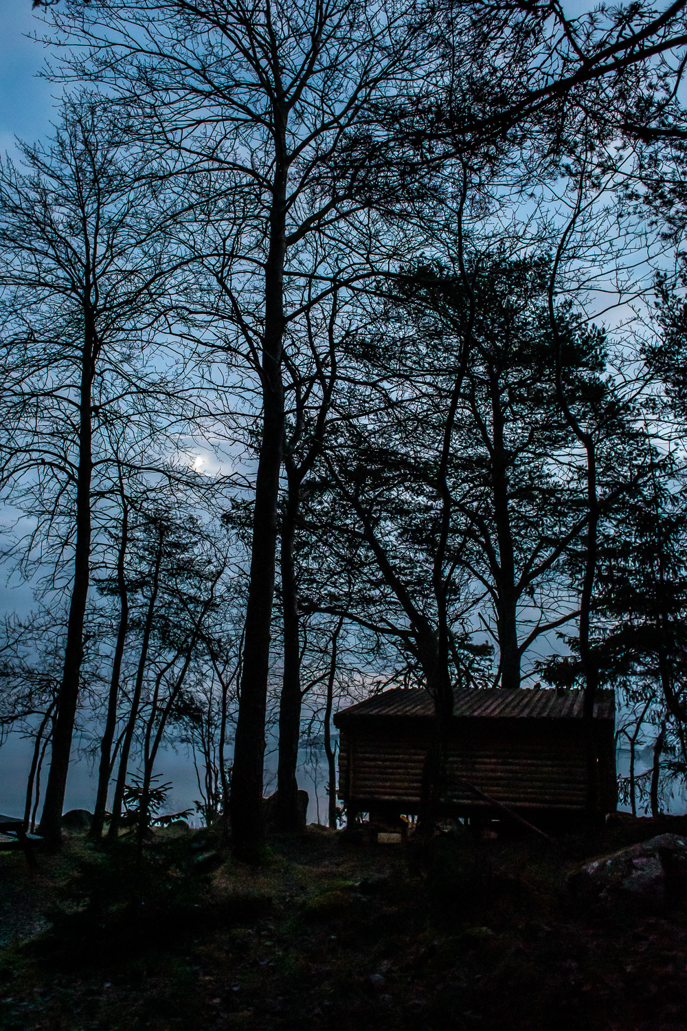 Vindskyddet vid Sjöskogen naturreservat, fotat bakifrån