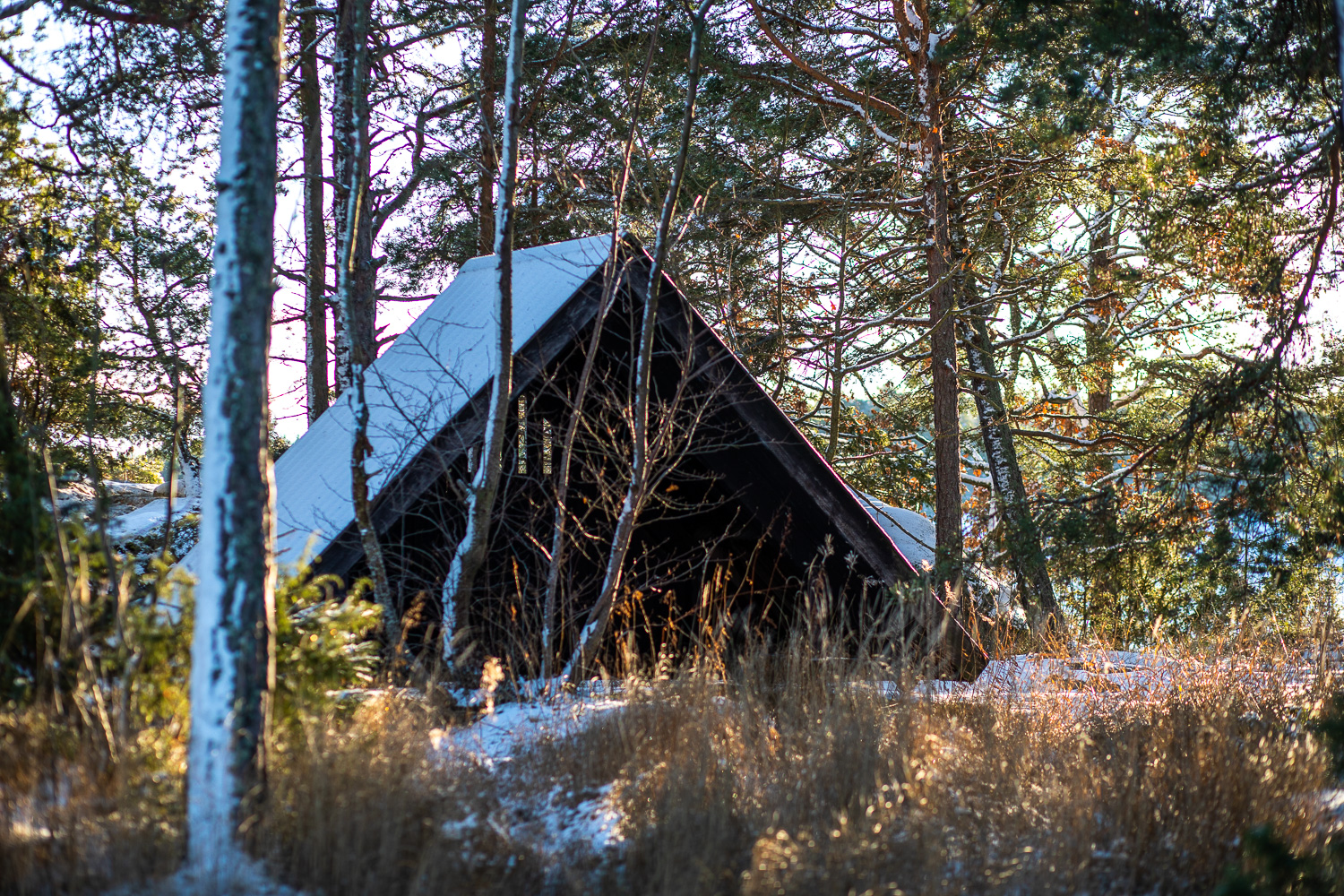 Vindskydd på Krokholmen, Stendörrens naturreservat