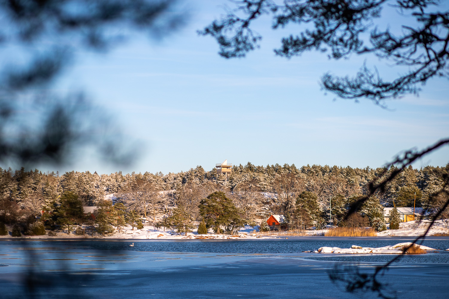 Utsiktstornet i Stendörrens naturreservat, sett från andra stranden