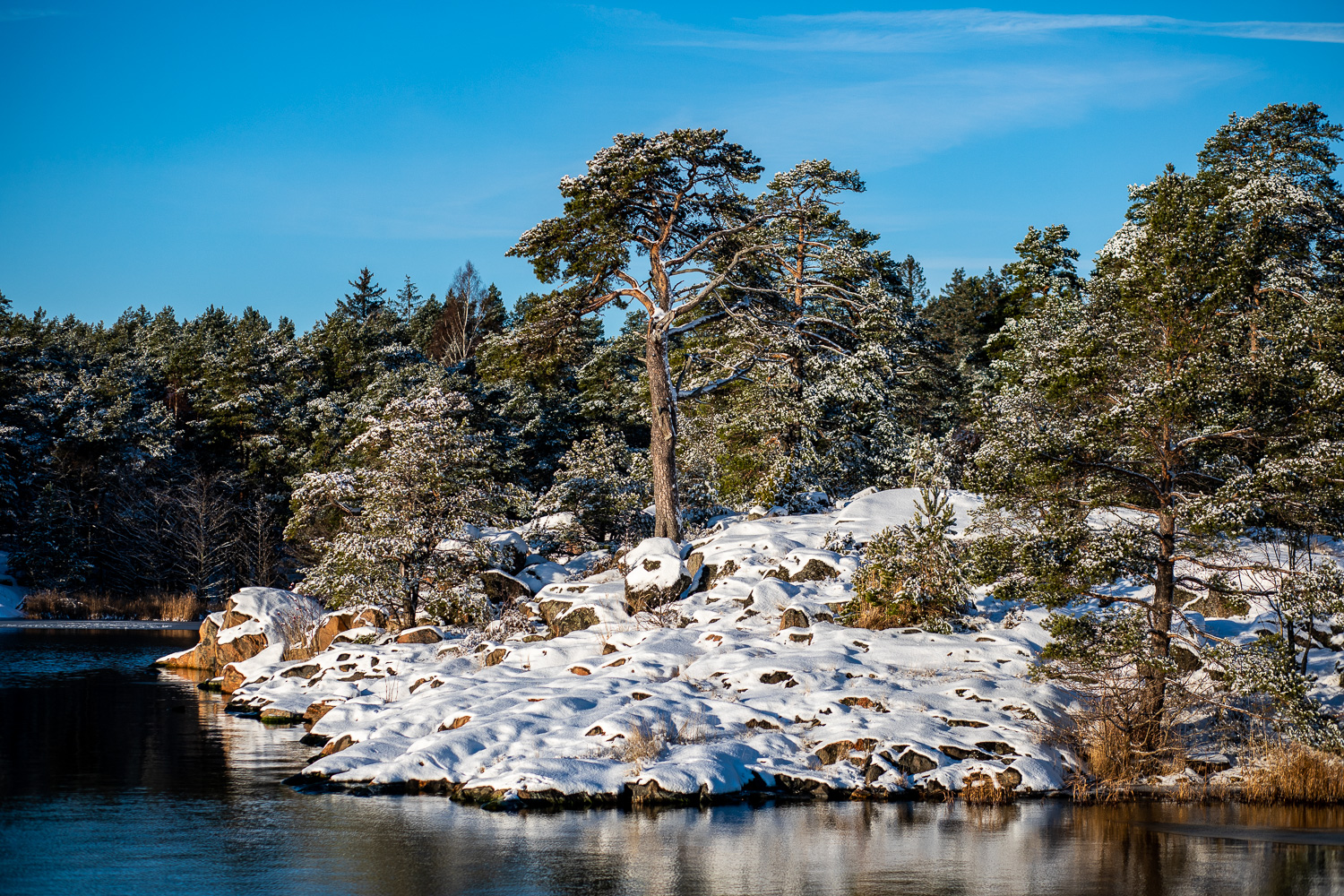 Liten udde i Stendörrens naturreservat vinter