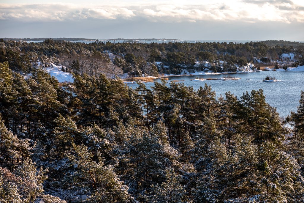 Utsikt från utsiktstornet över fastlandet, i Stendörrens naturreservat