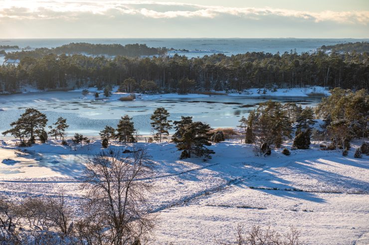 Utsikt från toppen av utsiktstornet i Stendörrens naturreservat