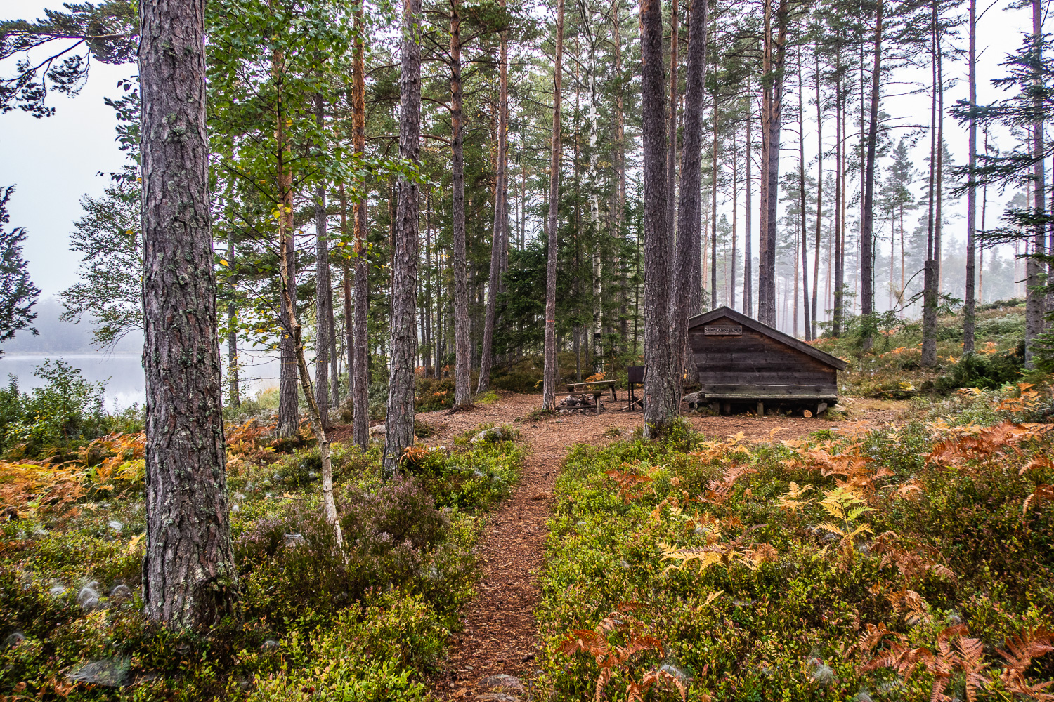 Vindskydd där jag genomförde min övernattning vid Svartsjön, längs Sörmlandsleden