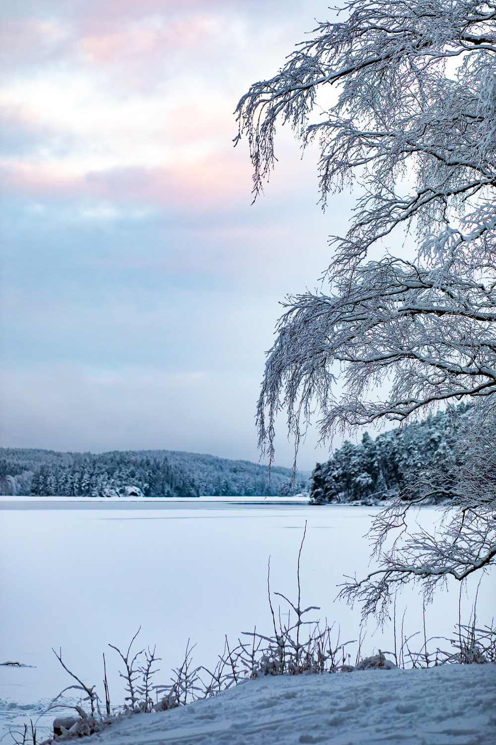 Utsikt över Ågelsjön i snö