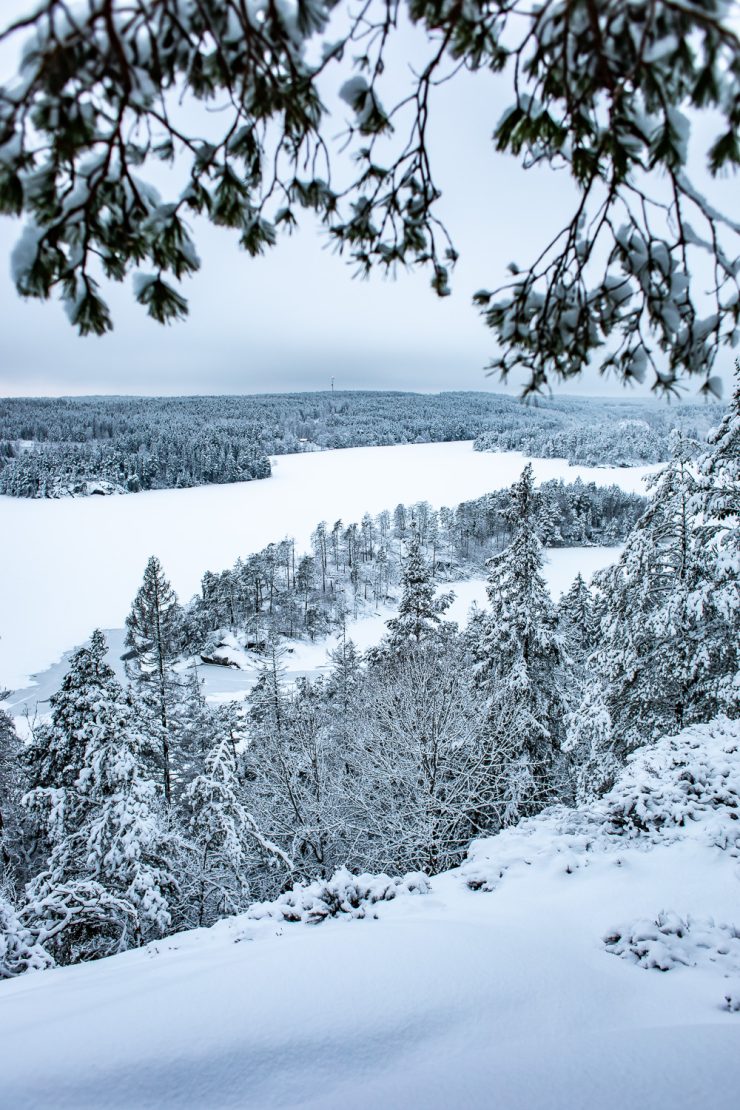 Utsikt över Ågelsjön i snö