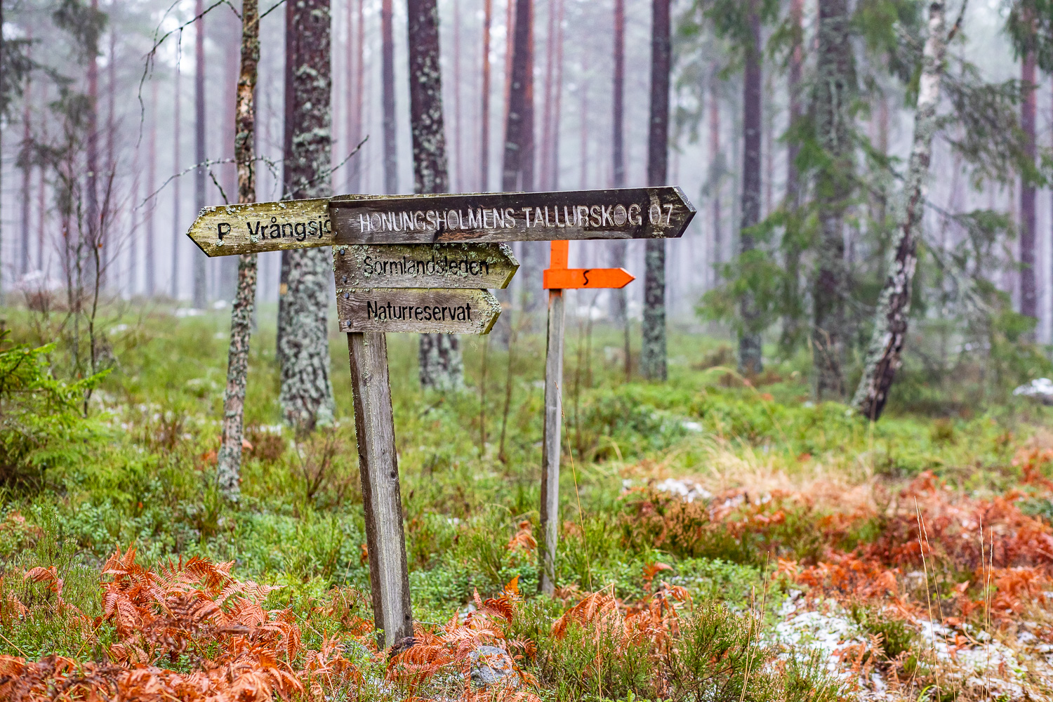 Skyltar visar stigar i skogen