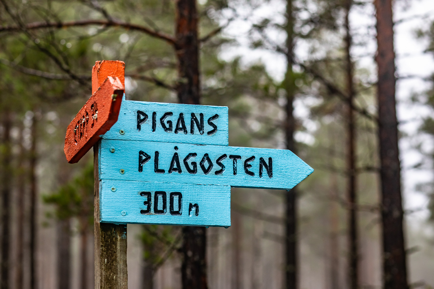 Skylt i skogen visar emot Pigans plågosten