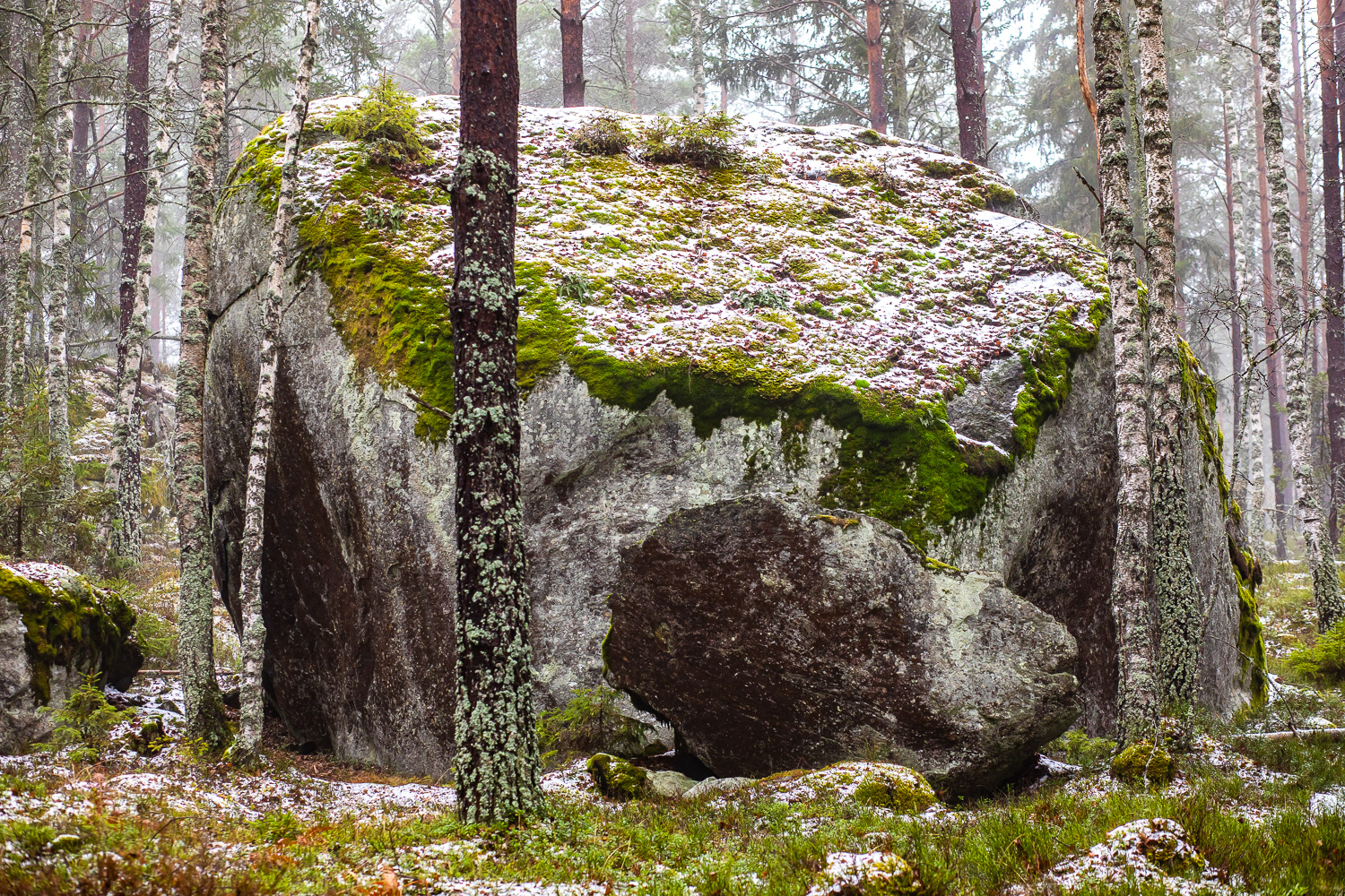 Pigans plågosten är en stor sten i skogen