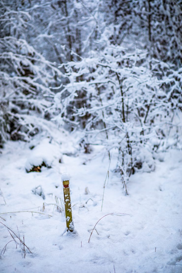 Ledmarkering i Ullstämmaskogens naturreservat