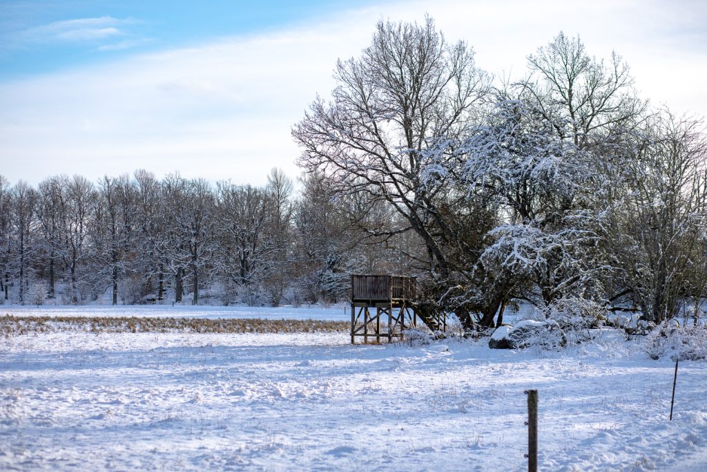 Fågeltorn i Ullstämmaskogens naturreservat