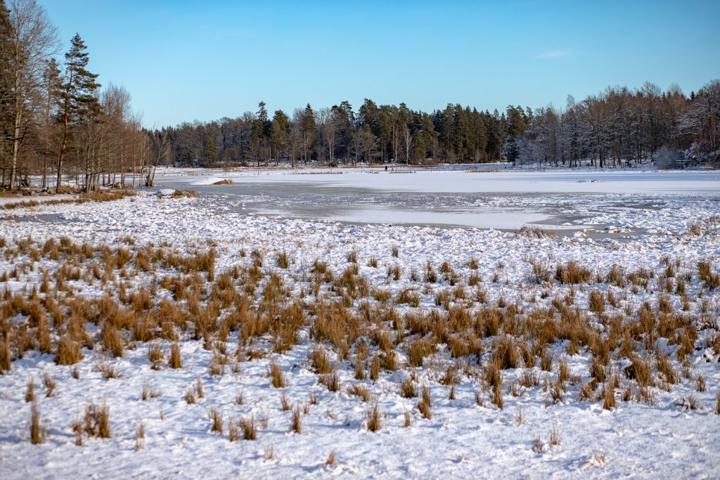 Snö- och istäckt våtmark