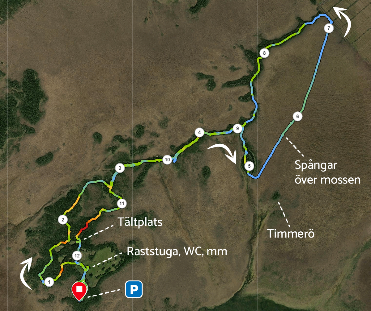 Karta över min vandring från och till Lövö, Store Mosse nationalpark