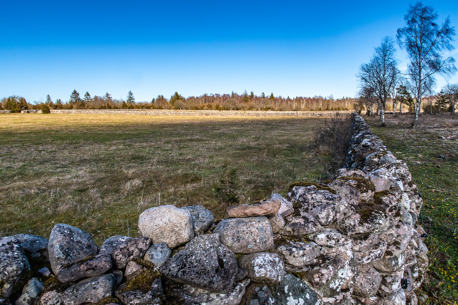 Kalkstensmur längs vandring till Gråborg
